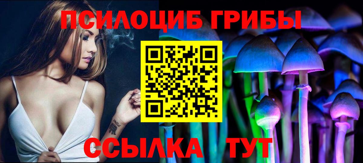 Псилоцибиновые грибы Psilocybine cubensis Протвино